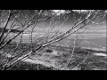 Fossil Collective - Rivers Edge 