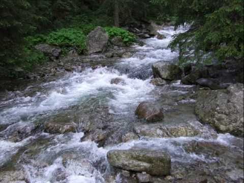 Raz Do Roku - Dziękuję Ci