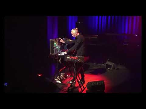 WEGA - Stella (Live at E-Live 2025)