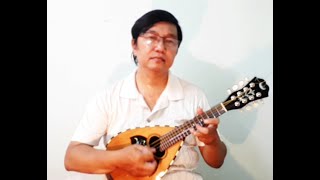 Romantic Mandolin : The Godfather (love theme ) - Quốc Khánh