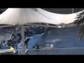 Шок в аквапарке: дрессировщик жестоко избивает дельфинов в дельфинарии 
