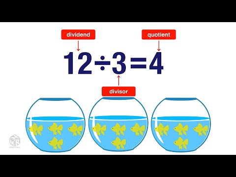 What is Division? Grade 3