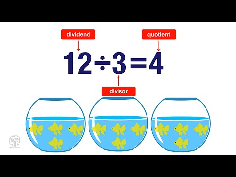 What is Division? Grade 3