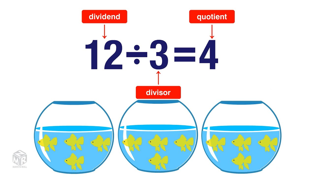 What is Division? Grade 3