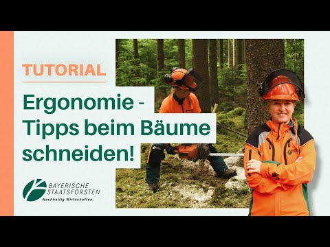 Bäume fällen ohne Rückenschmerzen: Profi-Tipps für sicheres & effizientes Arbeiten im Wald