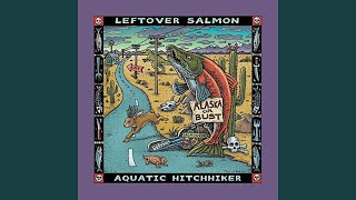 Music video thumbnail preview for Keep Driving by Leftover Salmon