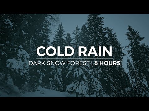Cold Rain | 8 Hours of cold rain falling in a dark snowy forest