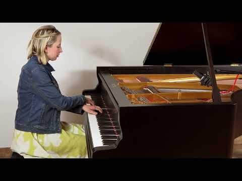 Znám jednu starou zahradu - Šíleně smutná princezna - by Gabi (piano cover)