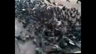 Download lagu KALI MERAH ATENA DOEL SUMBANG mp4 mp3 Download lagu KALI MERAH ATENA DOEL SUMBANG mp4 mp3