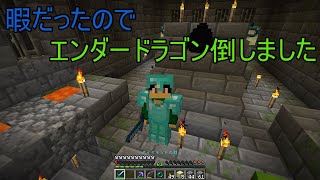 【Minecraft】PvPに飽きたので1.14でエンドラ倒しました。【暇だった】