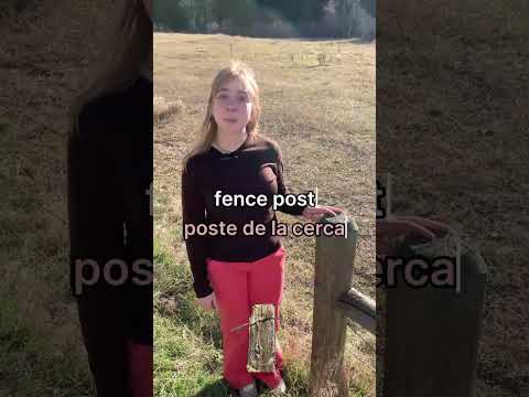 Aprendemos palabras del campo en Inglés