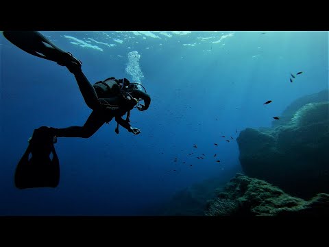 I Went Scuba Diving in Ustica, Sicily, IT
