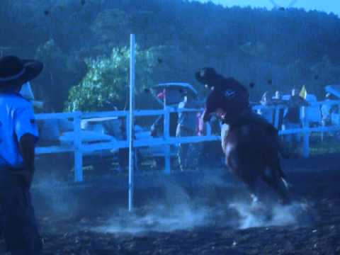 Provas de Redea Natalino Jr. cavalo jalisco