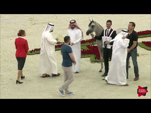 N 5 TOFLAH AL ZOBAIR   Sharjah International 2019