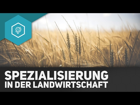 , title : 'Spezialisierung in der Landwirtschaft - Landwirtschaft in Industrieländern 8'