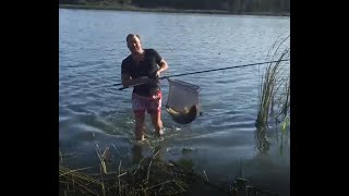 Ссылка