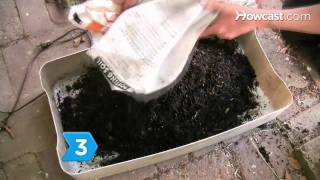 How to Grow Mushrooms