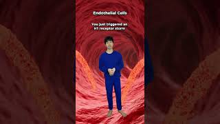 How does Peanut Allergy occurs