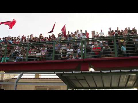 IL RUGGITO DEI LEONI / AS BELVEDERE 1963