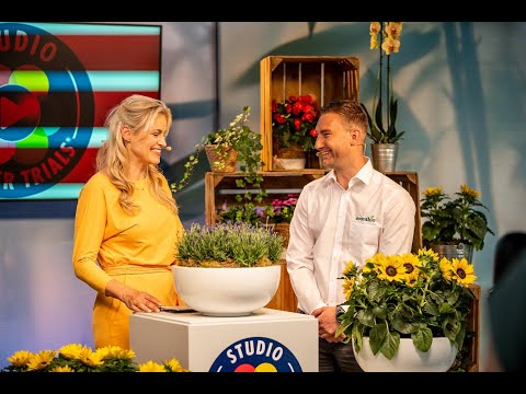 Studio FlowerTrials  2021 - Evanthia On Tour