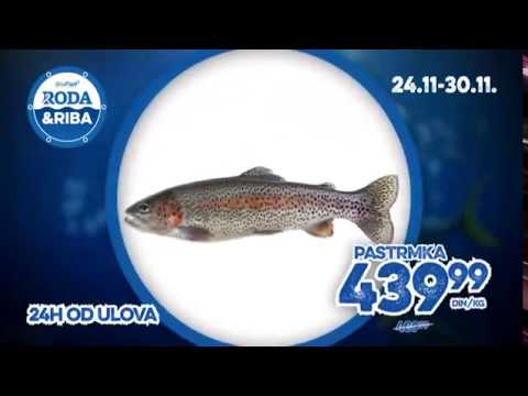 Roda akcija Ribarnica od 24.-30.11.2016.