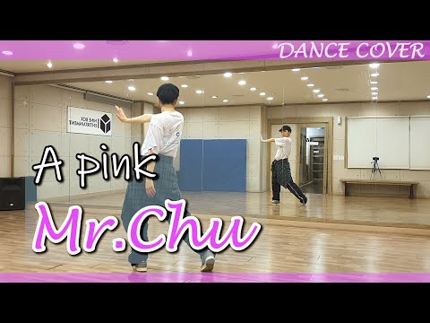 Apink (에이핑크) - Mr.Chu 미스터츄 | 안무 거울모드 Mirrored Dance Cover