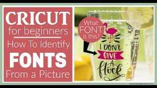 How to Identify a Font from a Picture
