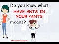Do You Know What HAVE ANTS IN YOUR PANTS Means Learn English Words And Phrases Daily With Kevin