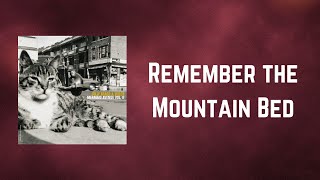 Billy Bragg - Remember the Mountain Bed (Lyrics)
