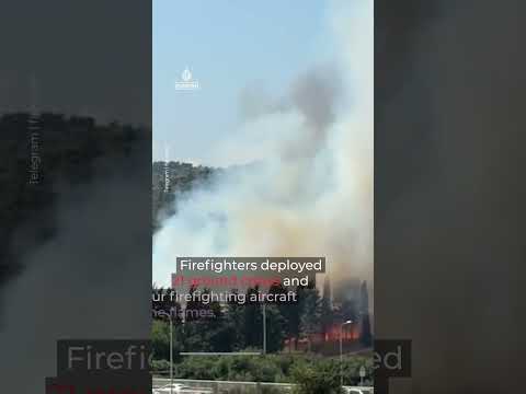 Crews battle wildfire that shut down major highways in Israel