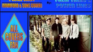 I Will Wait (Mumford & Sons cover) - Palm Trees & Power Lines