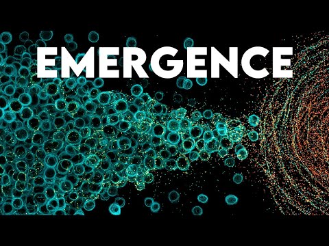 How Simple Cells Learned to Build Impossible Life