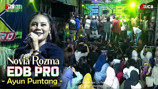 Download lagu EDB PRO - AYUN PUNTANG (NOVIA ROZMA) | BAKANBUER, SEPT 2025 mp3
