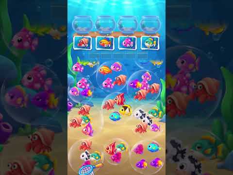 Bubble Fish: Sort Puzzle video thumbnail