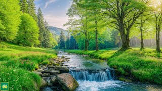 RESTORE THE NERVOUS SYSTEM 🌿 Healing Music, Soothes the nervous system and refreshes the soul #1