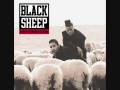 Black Sheep - Flavor Of The Month 