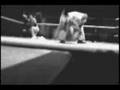 NYWC Psycho Circus 2006 Prelude