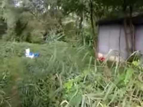 Pescuit la balta de langa Mures  La cruce sau La nea Marin