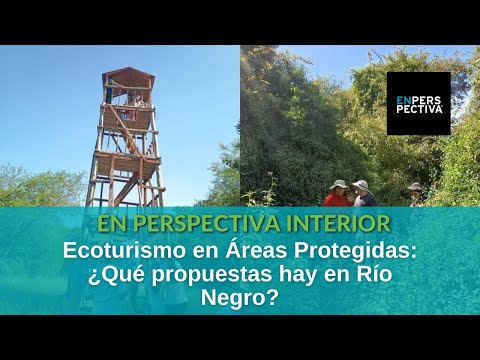 Ecoturismo en Río Negro: ¿Qué hay en el área protegida Esteros de Farrapos e Islas del Río Uruguay?