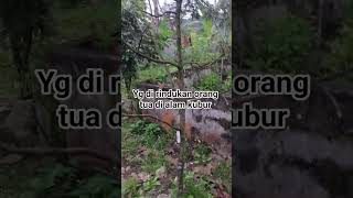 Download lagu yg di rindukan orang tua di alam kubur#usthilmanfauzi mp3 Download lagu yg di rindukan orang tua di alam kubur#usthilmanfauzi mp3