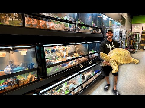 Pet Stores Gainesville Fl