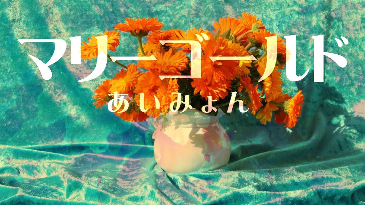 マリーゴールド/あいみょん 歌詞付き🌷 高音質フル🎧(cover)Marigold - Aimyon