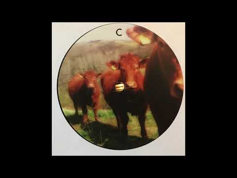 Dub Things feat. Sista Jane Warriah - Dub Dynasty - Holy Cow