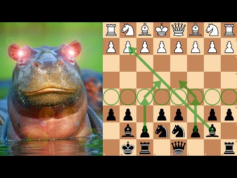 How To Crush White With The Hippo Defence In 4 Minutes
