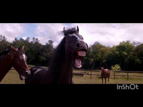 Funny 2016 Volkswagen Tiguan Commercial