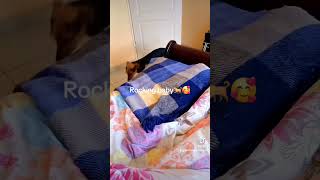 Download lagu Rocking baby phoebe 🥰🐕 mp3 Download lagu Rocking baby phoebe 🥰🐕 mp3