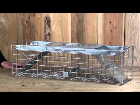 Havahart Double Door Cage Trap - 1030