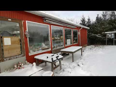 PRYLBODEN (före detta livsmedelsbutiken) - SAXEMARA - 210210 - RONNEBY - Blekinge - Huawei p30 PRO