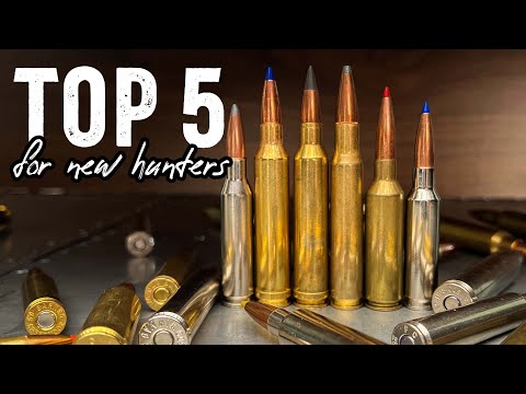 5 Best Cartridges & Calibers for New Hunters
