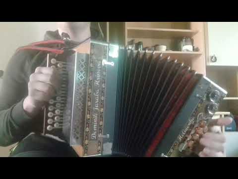 Všetko ľudia vravia - Heligónka Dominik Jaraba,DG